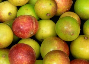 Essa fruta tropical poderosa pode ser o reforço que sua imunidade precisa