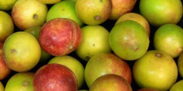 Essa fruta tropical poderosa pode ser o reforço que sua imunidade precisa