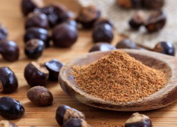 As ervas que dão energia e melhoram seu desempenho físico e mental