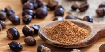 As ervas que dão energia e melhoram seu desempenho físico e mental