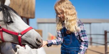 Hotel Fazenda para passar um fim de semana em Minas Gerais