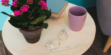 As três plantas de interior perfeitas para quem passa pouco tempo em casa