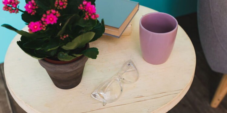 As três plantas de interior perfeitas para quem passa pouco tempo em casa