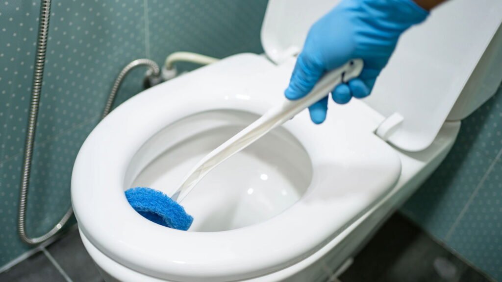 O motivo pelo qual recomendam jogar esse ingrediente no vaso sanitário todas as noites