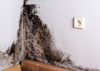 A melhor forma de remover mofo das paredes sem utilizar água sanitária