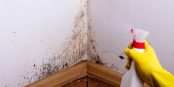 A melhor forma de remover mofo das paredes sem utilizar água sanitária