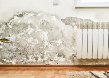 Essa técnica simples está viralizando para evitar mofo em casa