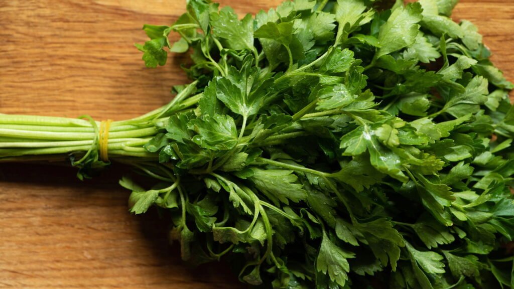 As plantas que dão mais sabor ao verão e são fáceis de cultivar