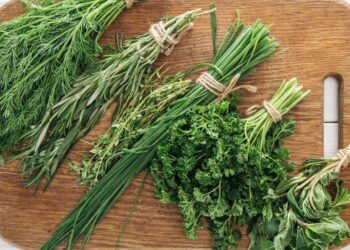 As plantas aromáticas perfeitas para plantar na primavera e usar na cozinha o ano inteiro