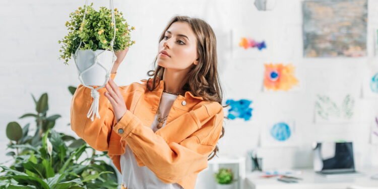 Essas plantas são perfeitas para iniciantes e transformam o ambiente