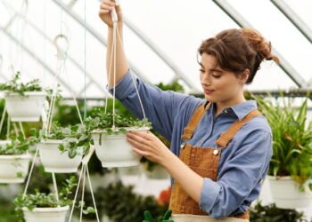 Especialista explica o erro que destrói plantas dentro de casa