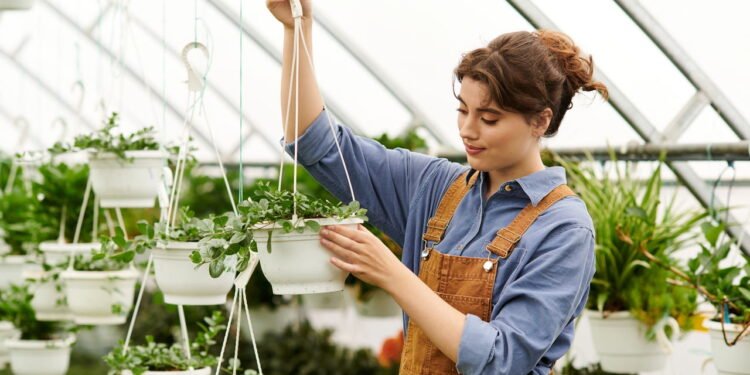 Especialista explica o erro que destrói plantas dentro de casa