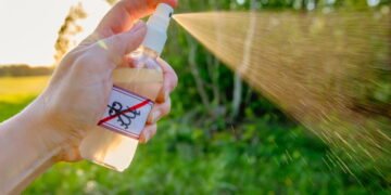 Receita fácil de repelente natural de mosquitos sem utilizar químicos