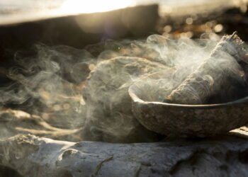 Comece a usar esse ingrediente e limpe as energias negativas ao seu redor