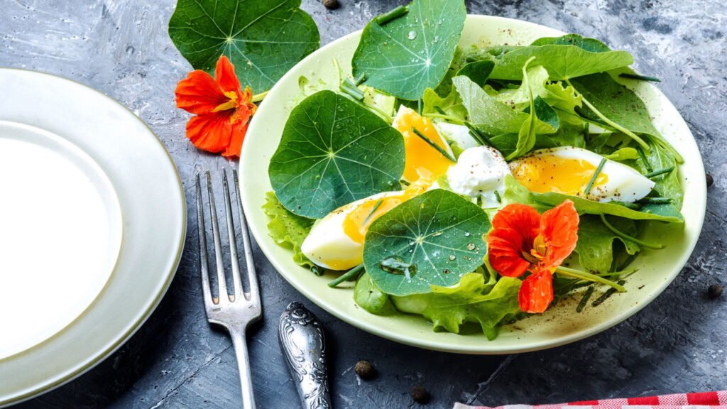 A flor comestível que colore saladas e ainda repele insetos naturalmente