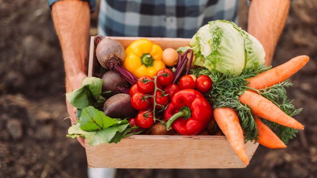 Cinco vegetais que trazem mais benefícios quando consumidos crus