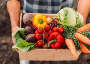 Cinco vegetais que trazem mais benefícios quando consumidos crus