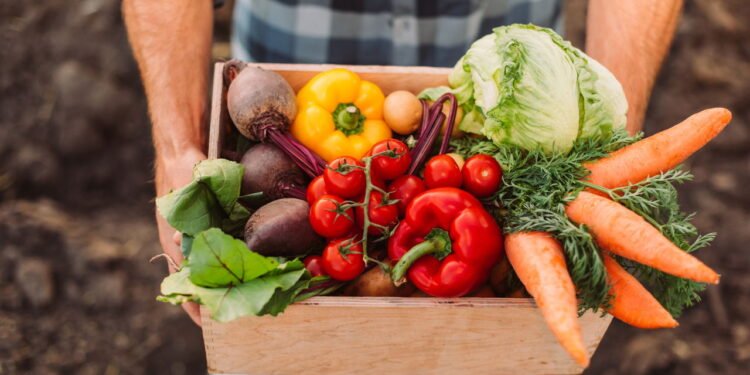 Cinco vegetais que trazem mais benefícios quando consumidos crus