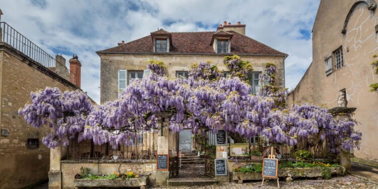 Vézelay - Créditos: depositphotos.com / Michael6882
