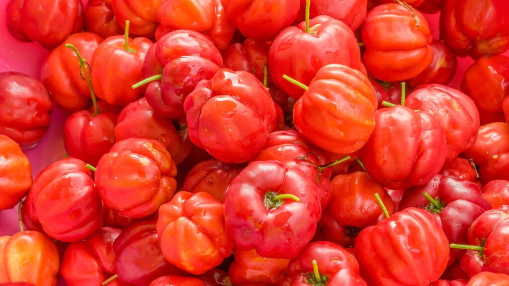 Esta fruta tropical frutifica várias vezes ao ano e você pode plantar em vaso