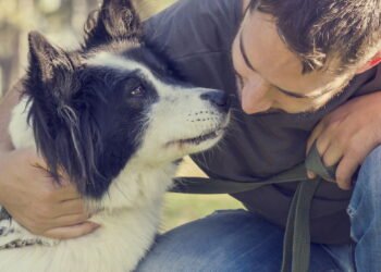 O que significa falar com animais de estimação como se fossem humanos, segundo a psicologia