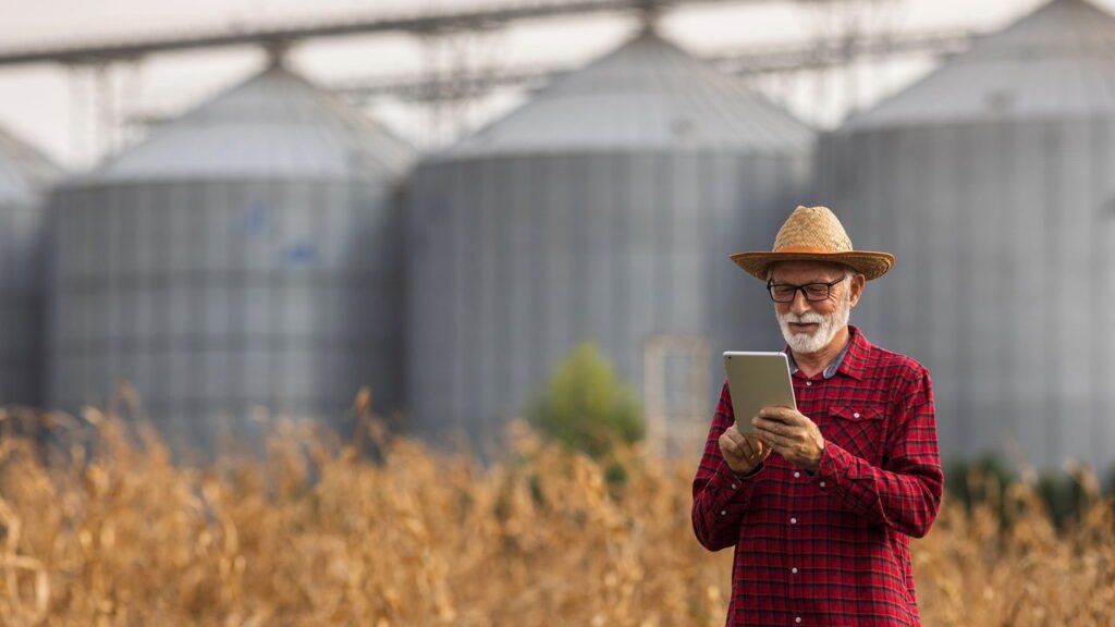 Clima de novembro pressiona a agricultura e pode afetar o preço dos alimentos