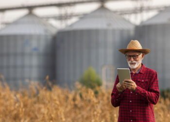 Clima de novembro pressiona a agricultura e pode afetar o preço dos alimentos