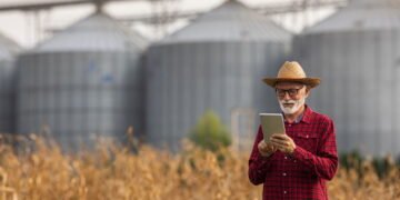 Clima de novembro pressiona a agricultura e pode afetar o preço dos alimentos