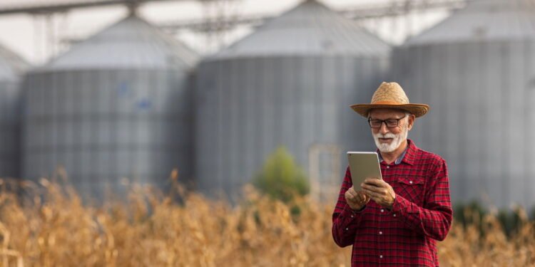 Clima de novembro pressiona a agricultura e pode afetar o preço dos alimentos