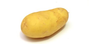 Vá plantar batatas
