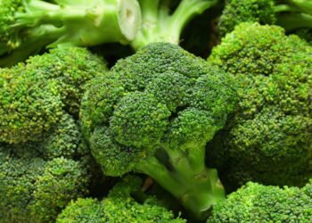 Horta doméstica de brócolis rende colheitas abundantes em 60 dias apenas