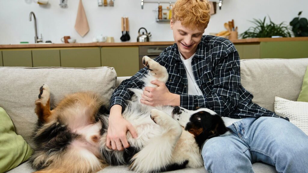 Cachorro abanar o rabo