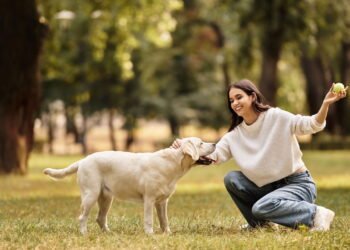Cachorro abanar o rabo