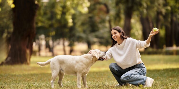 Cachorro abanar o rabo