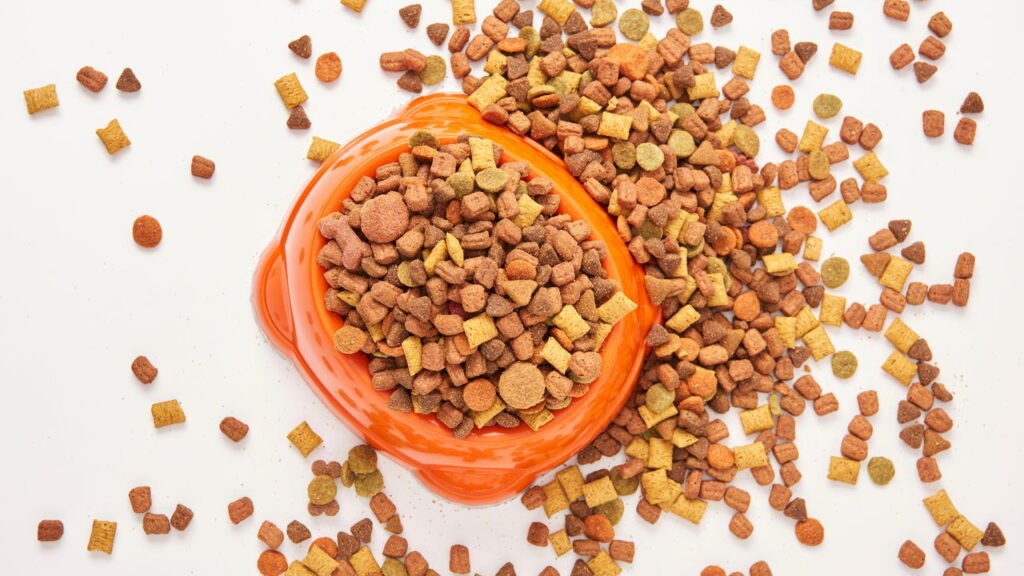 Ração para cachorros