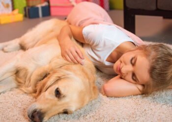 Isso é o que significa quando seu cachorro dorme encostado em você