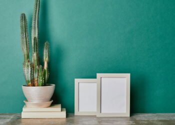 Essas são as plantas que reduzem a prosperidade, segundo o Feng Shui