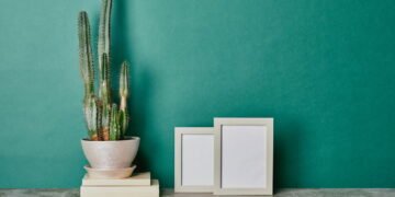 Essas são as plantas que reduzem a prosperidade, segundo o Feng Shui