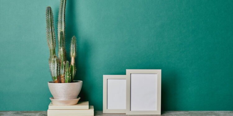 Cactus em casa - Créditos: depositphotos.com / AntonMatyukha