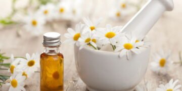 Camomila vai além de apenas ajudar a dormir, confira alguns outros benefícios