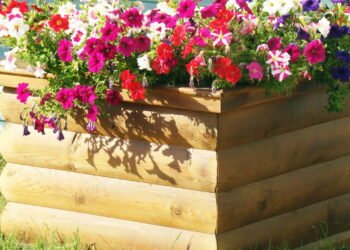 As plantas perfeitas para canteiros que resistem ao sol o ano todo