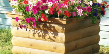 As plantas perfeitas para canteiros que resistem ao sol o ano todo