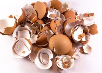 Não jogue fora a casca de ovo, ela vai te ajudar na limpeza de casa