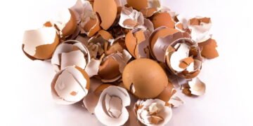 Não jogue fora a casca de ovo, ela vai te ajudar na limpeza de casa