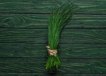 A hortaliça que brota até na água e pode ser colhida o ano todo