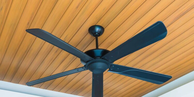 Ventilador de teto consegue refrescar no verão e aquecer no inverno gastando pouco