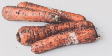 O que significa quando a cenoura fica com manchas escuras