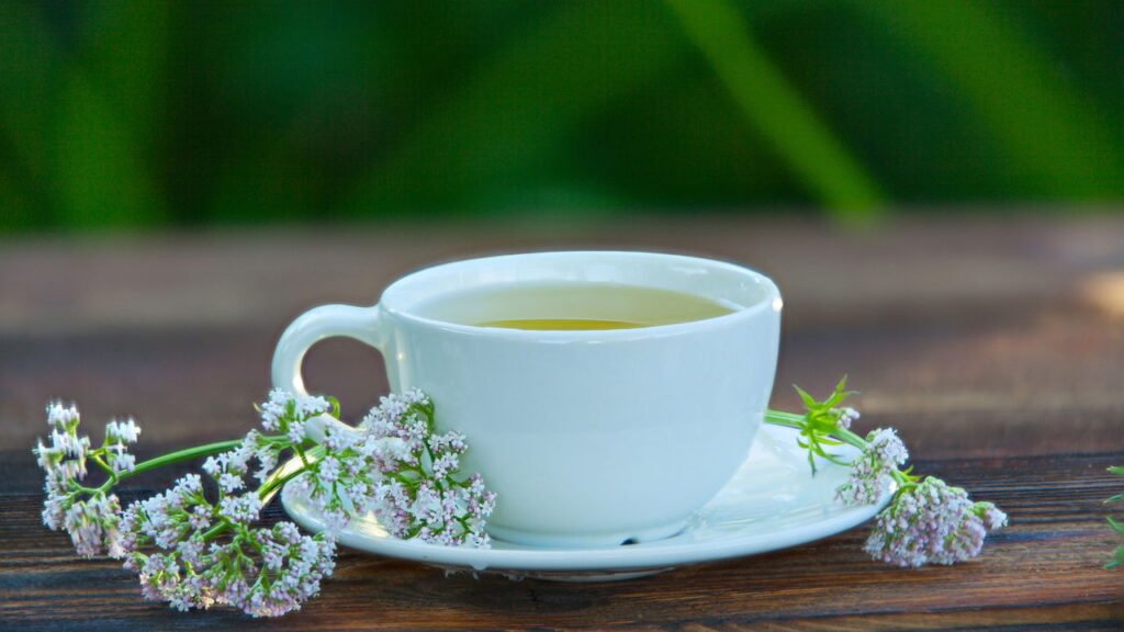 Esqueça a camomila! Esse é o chá que vai ajudar a acalmar seu pet durante uma viagem