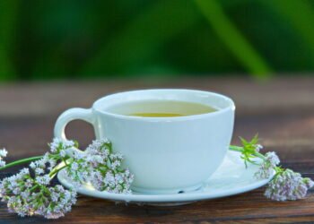 Esqueça a camomila! Esse é o chá que vai ajudar a acalmar seu pet durante uma viagem