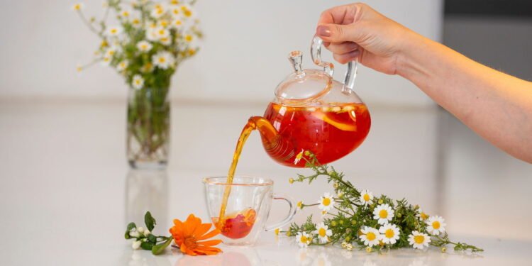 5 chás naturais que ajudam a dormir melhor sem precisar de remédios